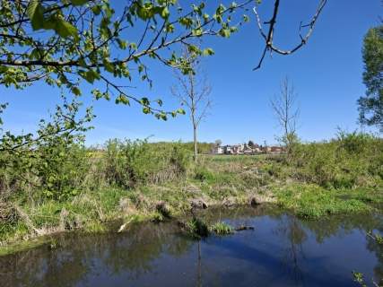Dom 300m2 na działce 1800m2