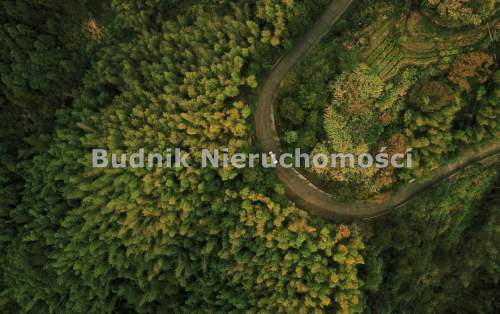 DZIAŁKA INWESTYCYJNA