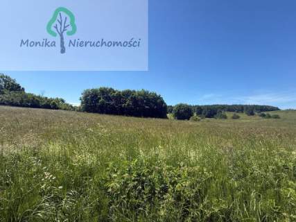 Działka rolna - 16.500 m2 za 150 tyś zł