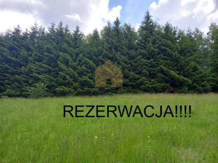 Działka budowlana 6367 m2, Walim