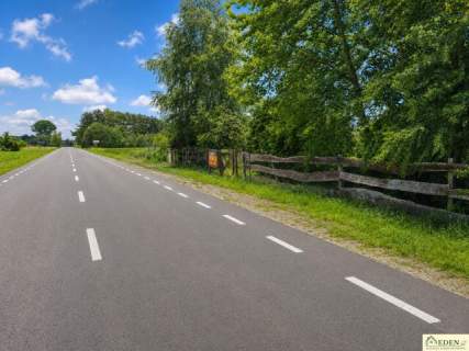 Posesja 0,30 ha do wynajęcia Turze Rogi