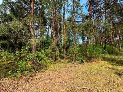 Białobrzegi, dom na sprzedaż 100 m2