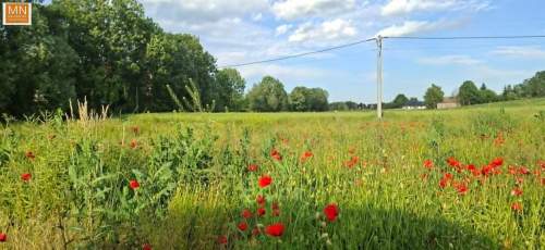 Działka 10,16a Marszowice,POLANOWICE,TANIO