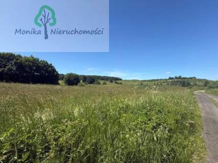 Działka rolna - 16.500 m2 za 150 tyś zł