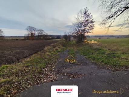 Duża działka usługowa przy S6
