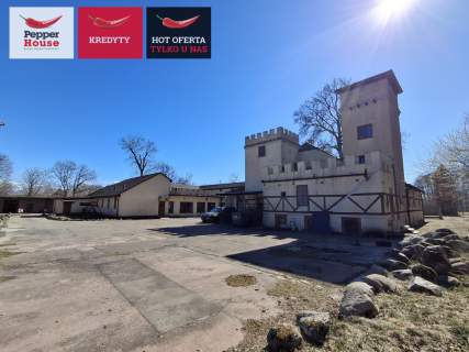 Zamek wśród lasów - obiekt komercyjny na Pomorzu