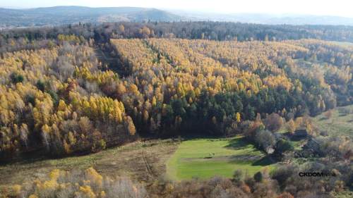 Działka na sprzedaż Cisów