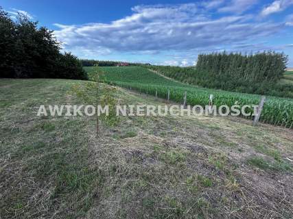 Dom na sprzedaż, 140 m2, Grążawy