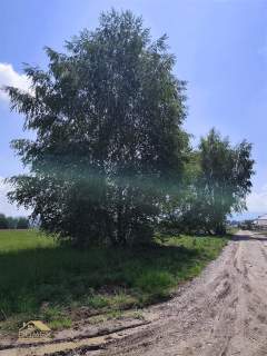 Widokowa działka budowlana 886 m Lipowa
