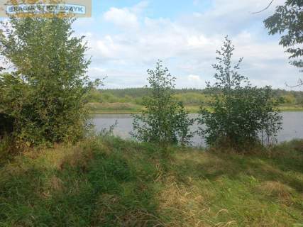 Działka 2500 m2 nad Narwią Zambski Kościelne