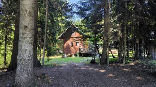 Bajeczna okolica - las, widok, natura