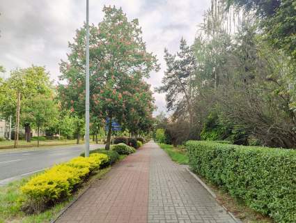 2 pokoje Ślężna Blisko centrum Inwestycja