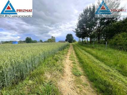 SPRZEDAM DZIAŁKĘ - GADY
