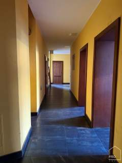 Przestronny apartament w kamienicy z windą