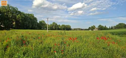 Działka 10,16a Marszowice,POLANOWICE,TANIO