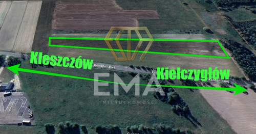 Rząśnia 10 000 m pod dom, usługi lub agroturyst
