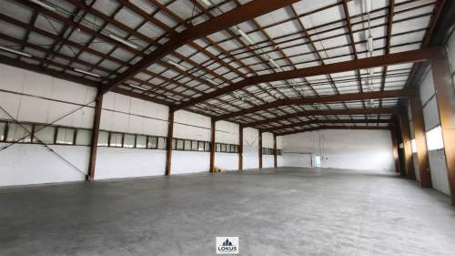 Magazyn 1000 m2 z biurem plac 1ha Stryków A1/A2