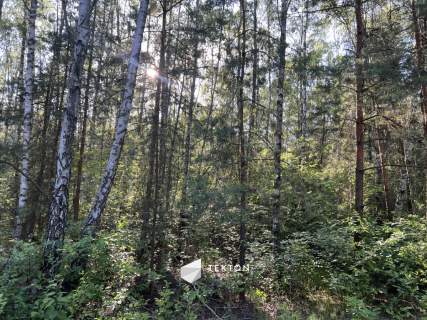 Duża działka budowlana 2768 m Trzciany
