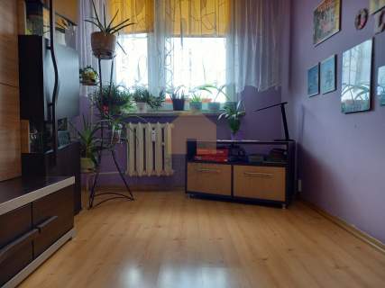Widok na Góry Sowie 3 Pokoje 65m Balkon