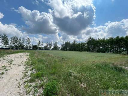 Działki / Żelków Kolonia