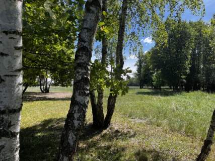 Działka rolna 6,5 ha - grunty orne Arkadia ok Nieborowa 0 % prowizji
