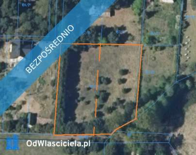 Działka w lesie