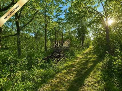 Premium Investment Plot   2010 m Siedlce