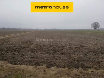 Działka budowlana 2000 m2 Prawęcice
