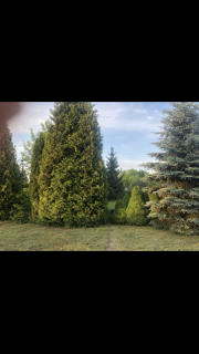 DZIAŁKA ROD W BIAŁYMSTOKU Z DOMKIEM 16M2 OD WŁASCICIELKI