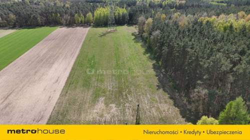 Działka na sprzedaż, 12015 m2, Gołąbek