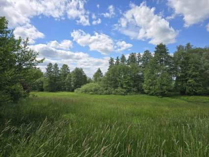 Działka siedliskowa na sprzedaż, 4800 m2, Przystawy