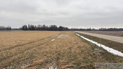 Trzy działki budowlane ul. Ogrodowa, Wiśniew