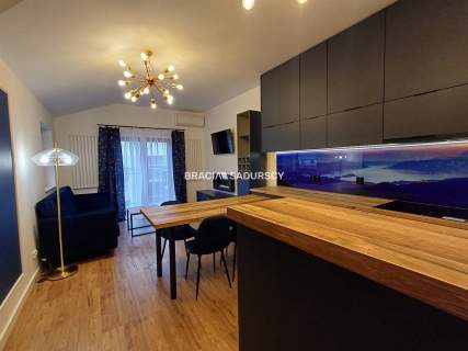 Luksusowy Loft z Domowym SPA Kraków, Złocień