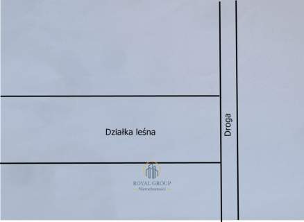 Działka leśna