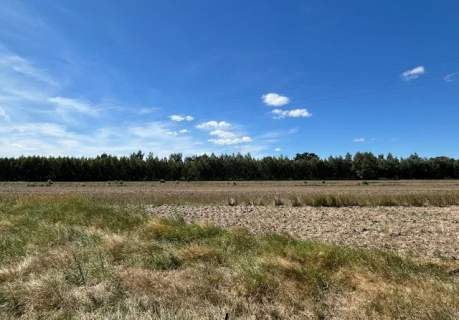 Działka budowlana wieś Łacha / Serock