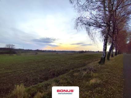 Duża działka usługowa przy S6