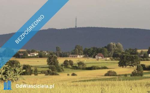 Dom bud. gosp. duża działka