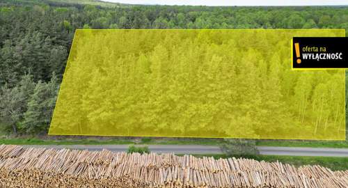 Atrakcyjna działka leśna 2030 m Świdno