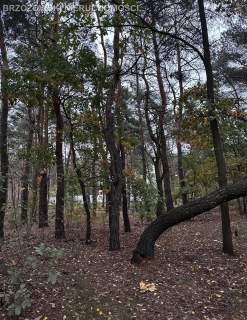 Marki, 1126 m2, MPZP wolnostojąca