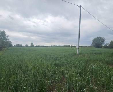 Działka inwestycyjna na sprzedaż, 18000 m2, Markusy