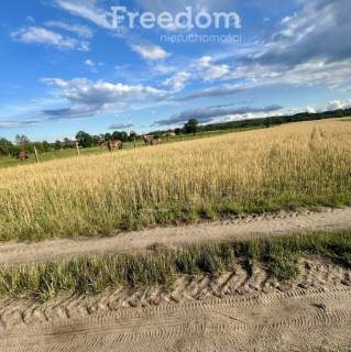 Działka na Mazurach Napiwoda Nidzica