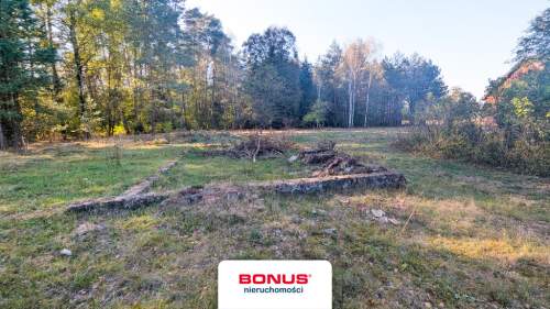 Siedlisko w otoczeniu lasów mazurskich