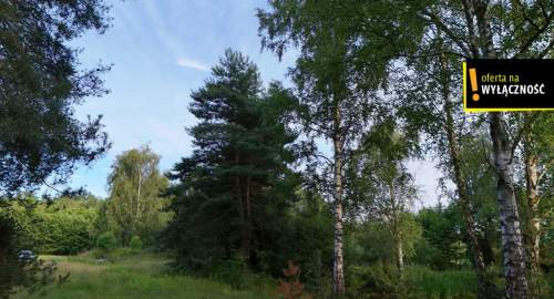Działka ze stawem i lasem koło Solca Zdroju