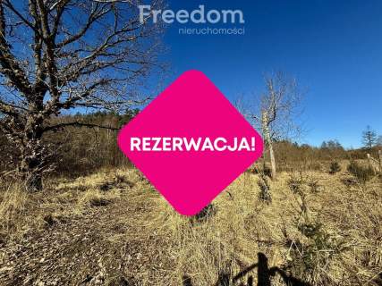 Duża działka w Unieminie