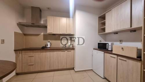 Lokal 252,58 m2 Krzyki, okolice ul. Szybkiej