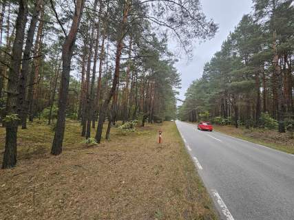 Na sprzedaz dzialka- lesna