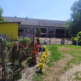 Siedlisko - dom, staw i budynki gospodarcze