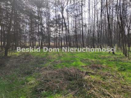 Działka rekreacyjna na sprzedaż, 1401 m2, Dankowice