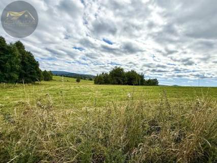 Działka 4090 m2 z warunkami zabudowy - Boreczna