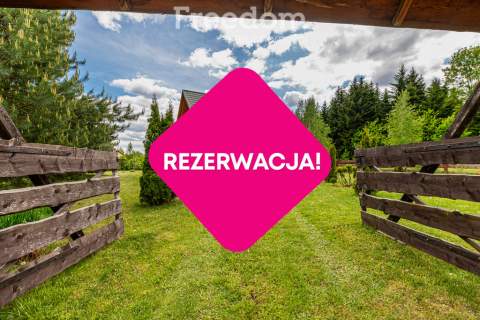 Całoroczny dom z tarasem wśród lasów
